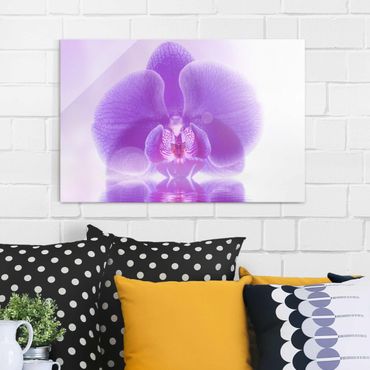 Tableau en verre - Purple Orchid On Water