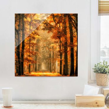 Tableau en verre - Enchanted Forest In Autumn