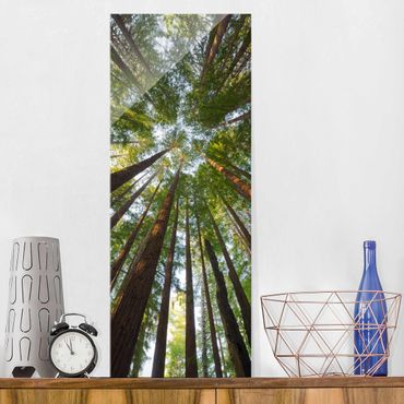 Tableau en verre - Sequoia Tree Tops