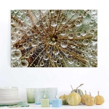 Tableau en verre - Dandelion In Autumn