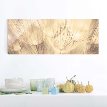 Tableau en verre - Dandelions Close-Up In Cozy Sepia Tones