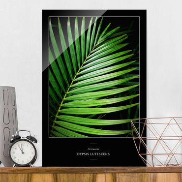Tableau en verre - Tropical Palm Leaf