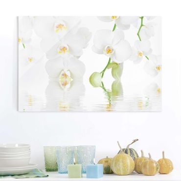 Tableau en verre - Spa Orchid - White Orchid
