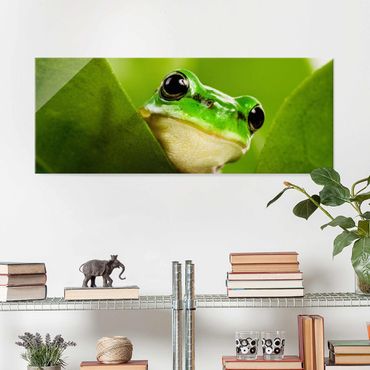 Tableau en verre - Frog