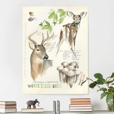 Tableau en verre - Wilderness Journal - Deer