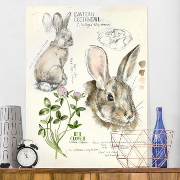 Tableau en verre - Wilderness Journal - Rabbit