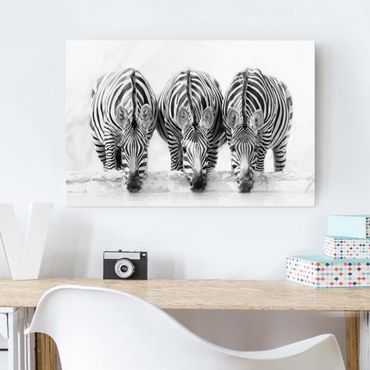 Tableau en verre - Zebra Trio In Black And White