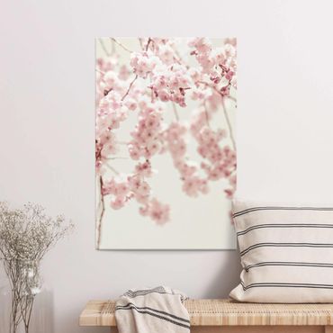 Glass print - Dancing Cherry Blossoms