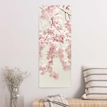 Glass print - Dancing Cherry Blossoms