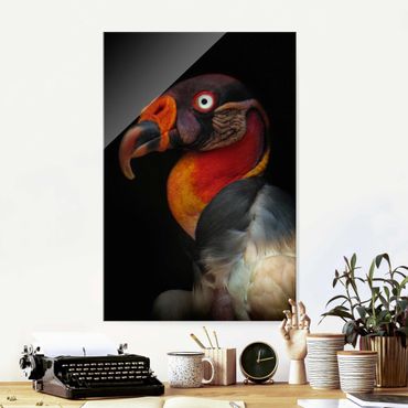 Glass print - King Vulture In Front Of Black