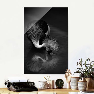 Glass print - Crowned Crane Bow Black And White