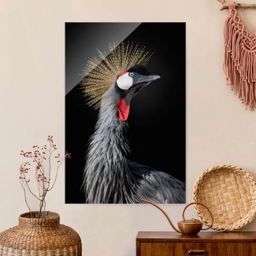 Glass print - Crowned Crane In Front Of Black