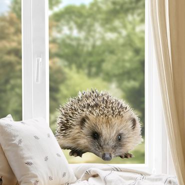 Sticker pour fenêtres - Little Hedgehog