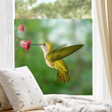 Décoration pour fenêtres - Hummingbird And Flower