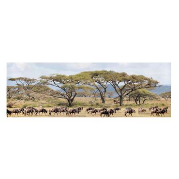Impression sur toile - Herd Of Wildebeest In The Savannah