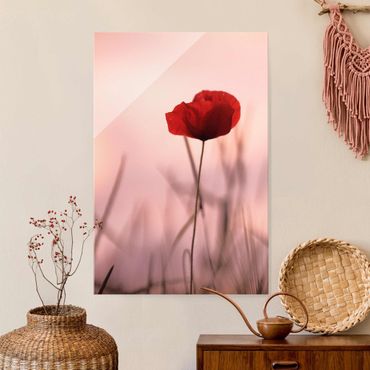Glass print - Poppy Flower In Twilight