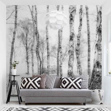 Papier peint - Forêt de bouleaux mystique en noir et blanc