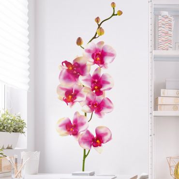 Sticker mural - No.176 Orchid Rose I