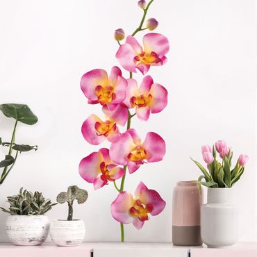 Sticker mural - No.177 Orchid Rose II