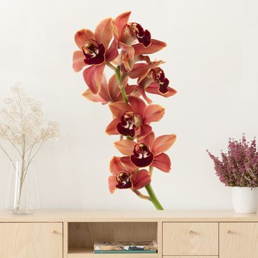 Sticker mural - No.180 Orchid White Red II