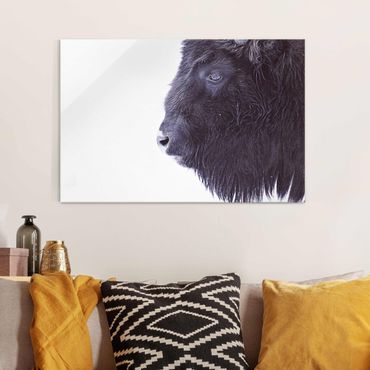 Glass print - Portrait Of A Black Buffalo
