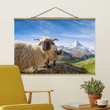 Tableau en tissu avec porte-affiche - Blacknose Sheep Of Zermatt - Format paysage 3:2