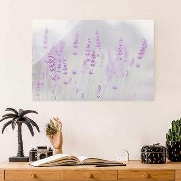 Glass print - Summer In A Field Of Lavender