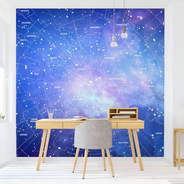 Papier peint - Stelar Constellation Star Chart