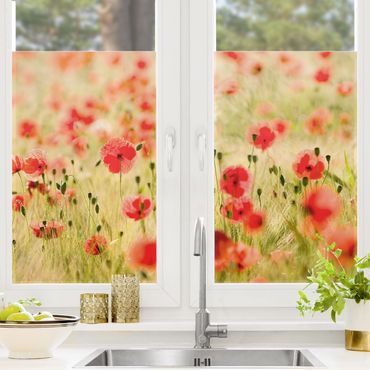 Décoration pour fenêtres - Summer Poppies