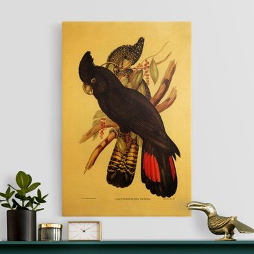 Impression sur toile - Vintage Illustration Black Cockatoo Black Gold