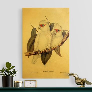 Impression sur toile - Vintage Illustration White Cockatoo