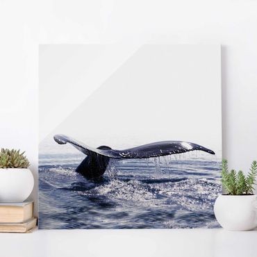 Glass print - Whale Song On Iceland