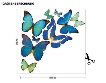 Sticker mural - Realistic Butterflies