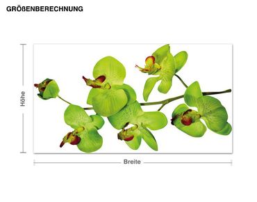 Sticker mural - Orchids In Yellow