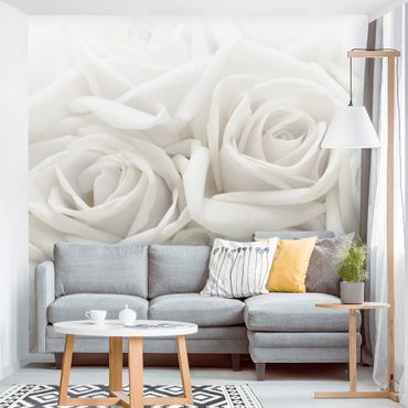 Papier peint - White Roses