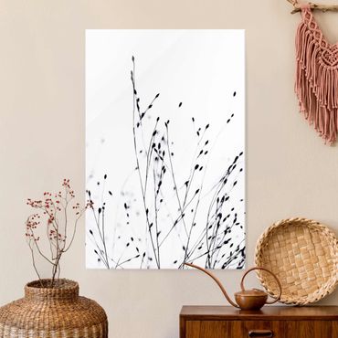 Glass print - Soft Grasses In Nearby Shadow