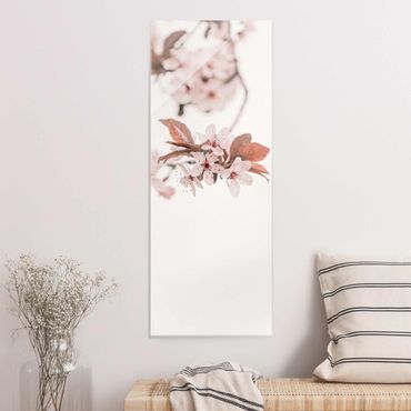 Glass print - Delicate Cherry Blossoms On A Twig