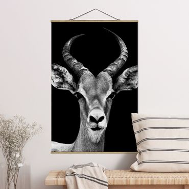 Tableau en tissu avec porte-affiche - Impala antelope black and white