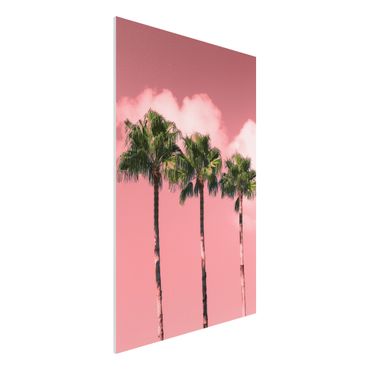 Impression sur forex - Palm Trees Against Sky Pink