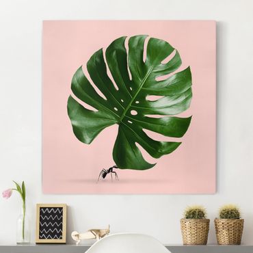 Tableau sur toile - Ant With Monstera Leaf