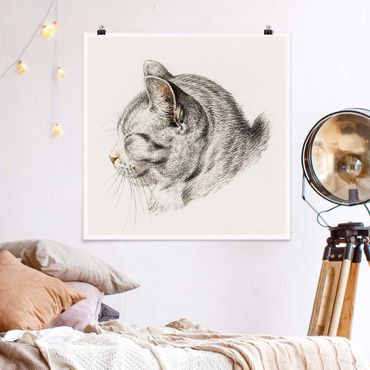 Poster - Vintage Drawing Cat III