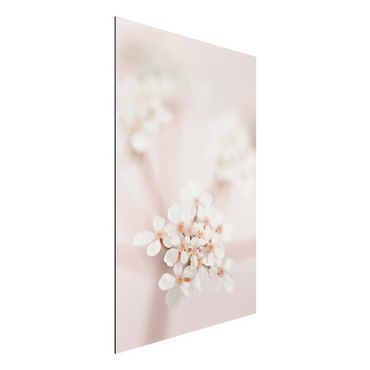 Tableau sur aluminium - Mini Flowers In Pink Light