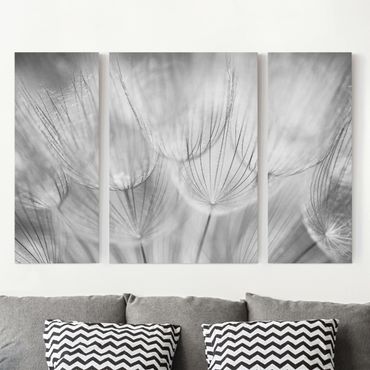 Impression sur toile 3 parties - Dandelions Macro Shot In Black And White