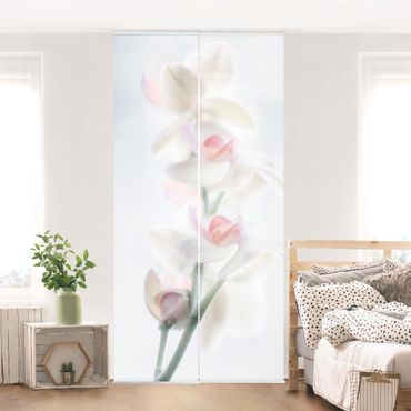 Set de panneaux coulissants - Delicate Orchid
