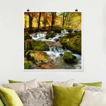 Poster - Waterfall Autumnal Forest