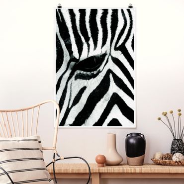 Poster animaux - Zebra Crossing No.3