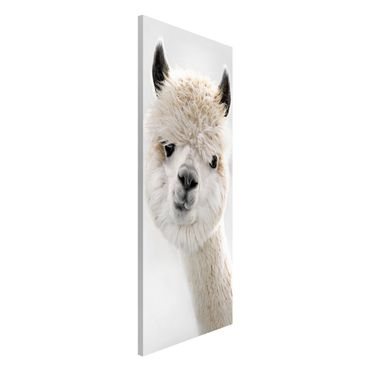 Tableau magnétique - Alpaca Portrait
