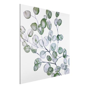 Tableau sur aluminium - Green Watercolour Eucalyptus Branch