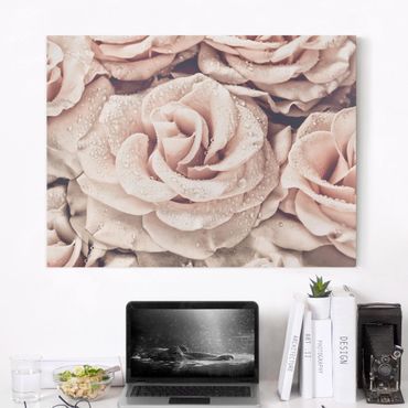 Tableau sur toile - Roses Sepia With Water Drops