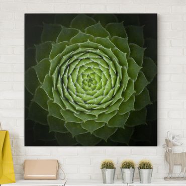 Impression sur toile - Mandala Succulent